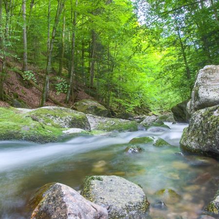 400Qm Bayerische Villa 2500Qm Uneinsehbarer Garten In Beliebter Urlaubsregion Freyung Luaran gambar